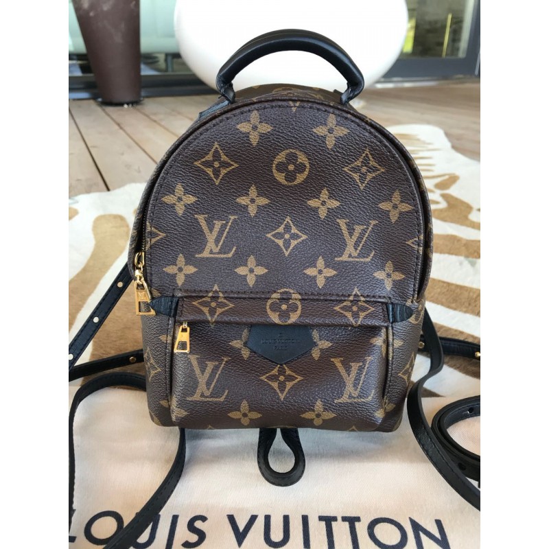 Louis Vuitton Palm Springs Mini